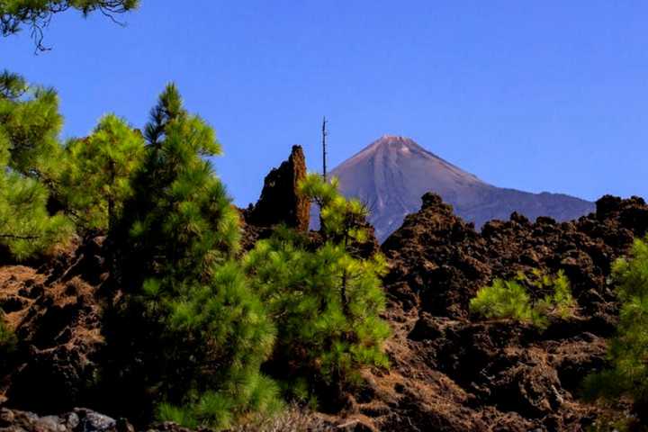 Nationaal Park El Teide - wandeling van Playa del Bollullo naar El Teide