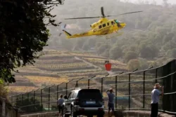 Einde bosbrand Tenerife