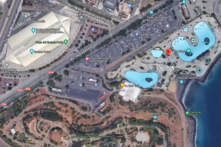 Parking del Palmetum foto Google Maps