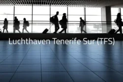 Luchthaven Tenerife Zuid - TFS