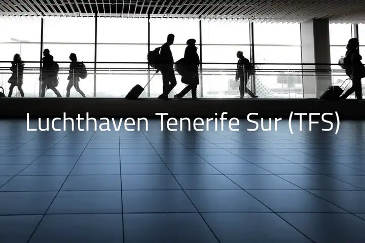 Luchthaven Tenerife Zuid - Luchthaven Tenerife Sur - TFS