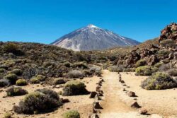 El Teide Tenerife - 77 mensen gered na wandeling